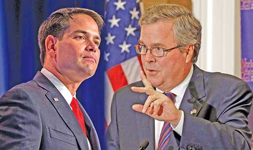 Bush, Rubio