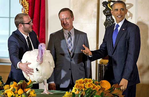 Obama, Pavo