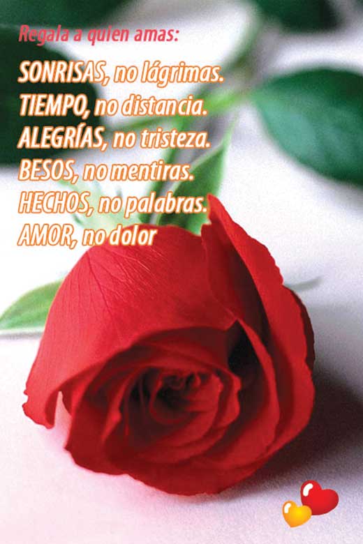 Carta de Amor