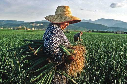 Mujer rural