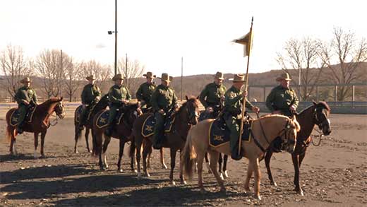 Caballos desfile