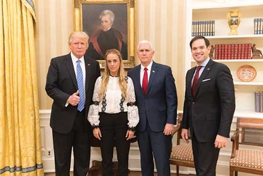 Trump, Tintori