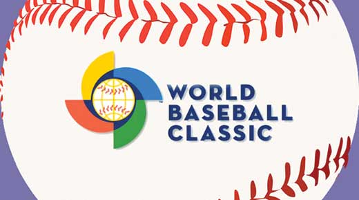 Pelota Beisbol